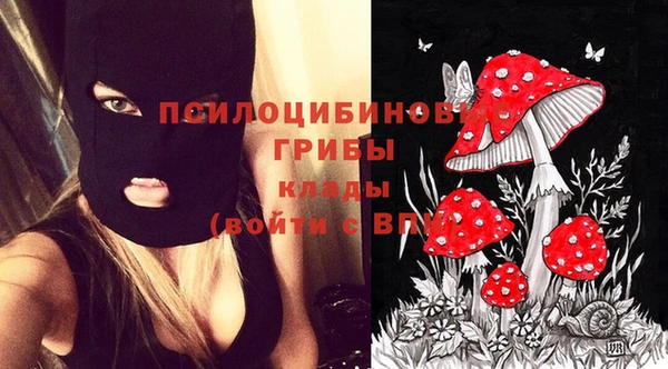 кокс Абинск
