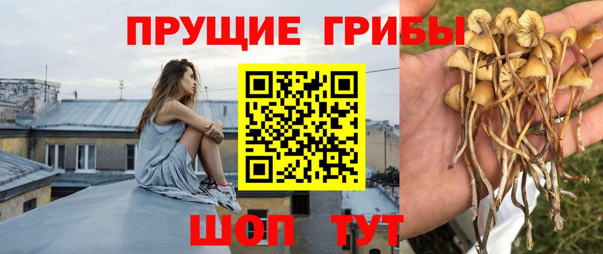 Псилоцибиновые грибы мицелий  Галлюциногенные грибы Psilocybine cubensis  Вход с VPN  Батайск 
