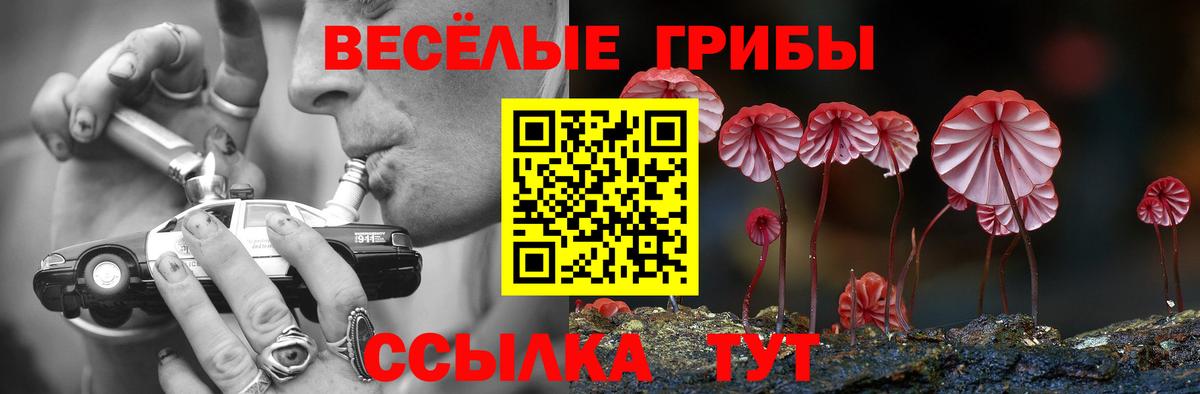 МЕФ кристаллы  Батайск  Вход с VPN  NBOMe  ГАШИШ  ГЕРОИН  Бошки Шишки 